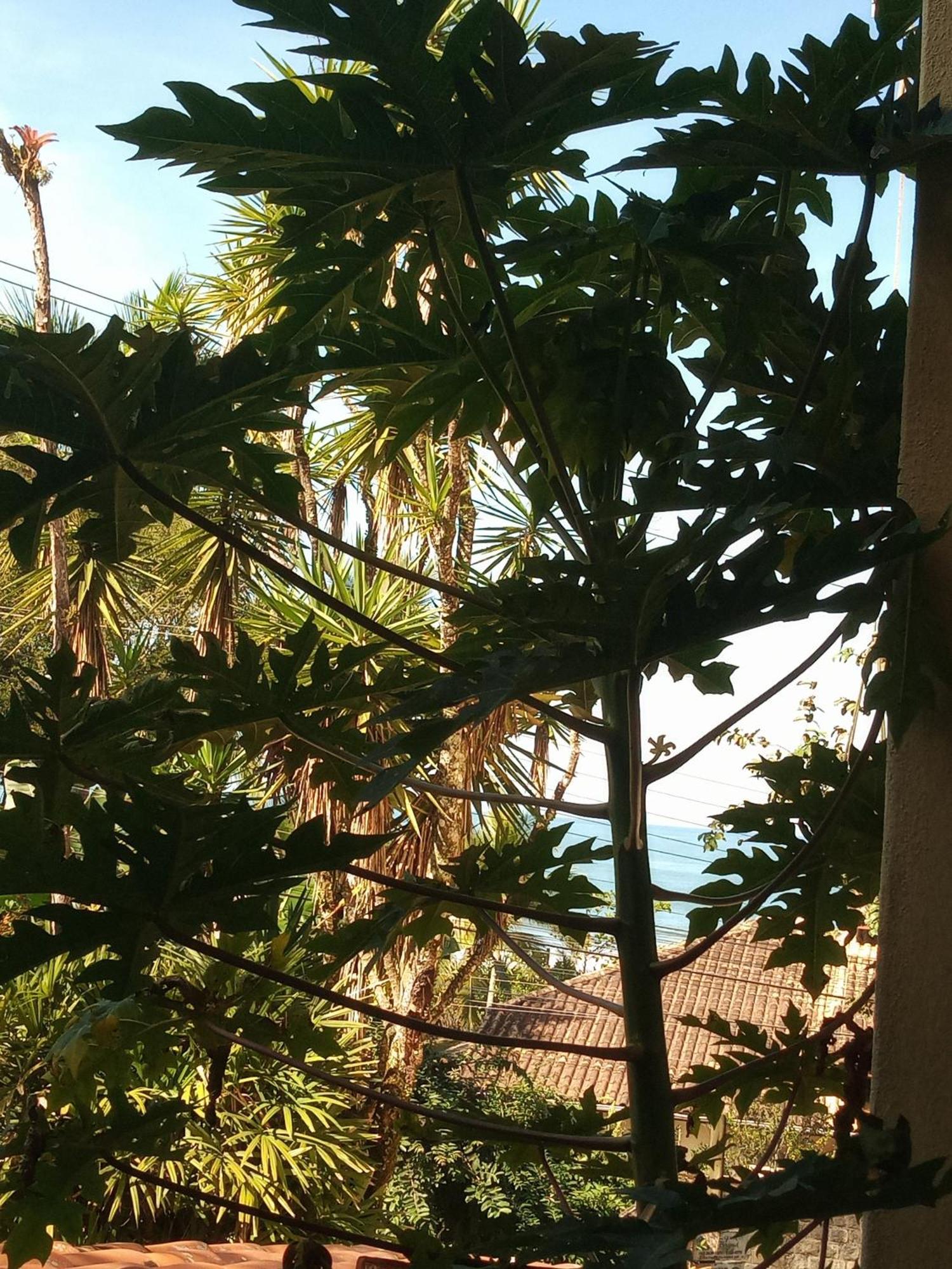Suites Brilho Do Sol Ubatuba Exterior photo